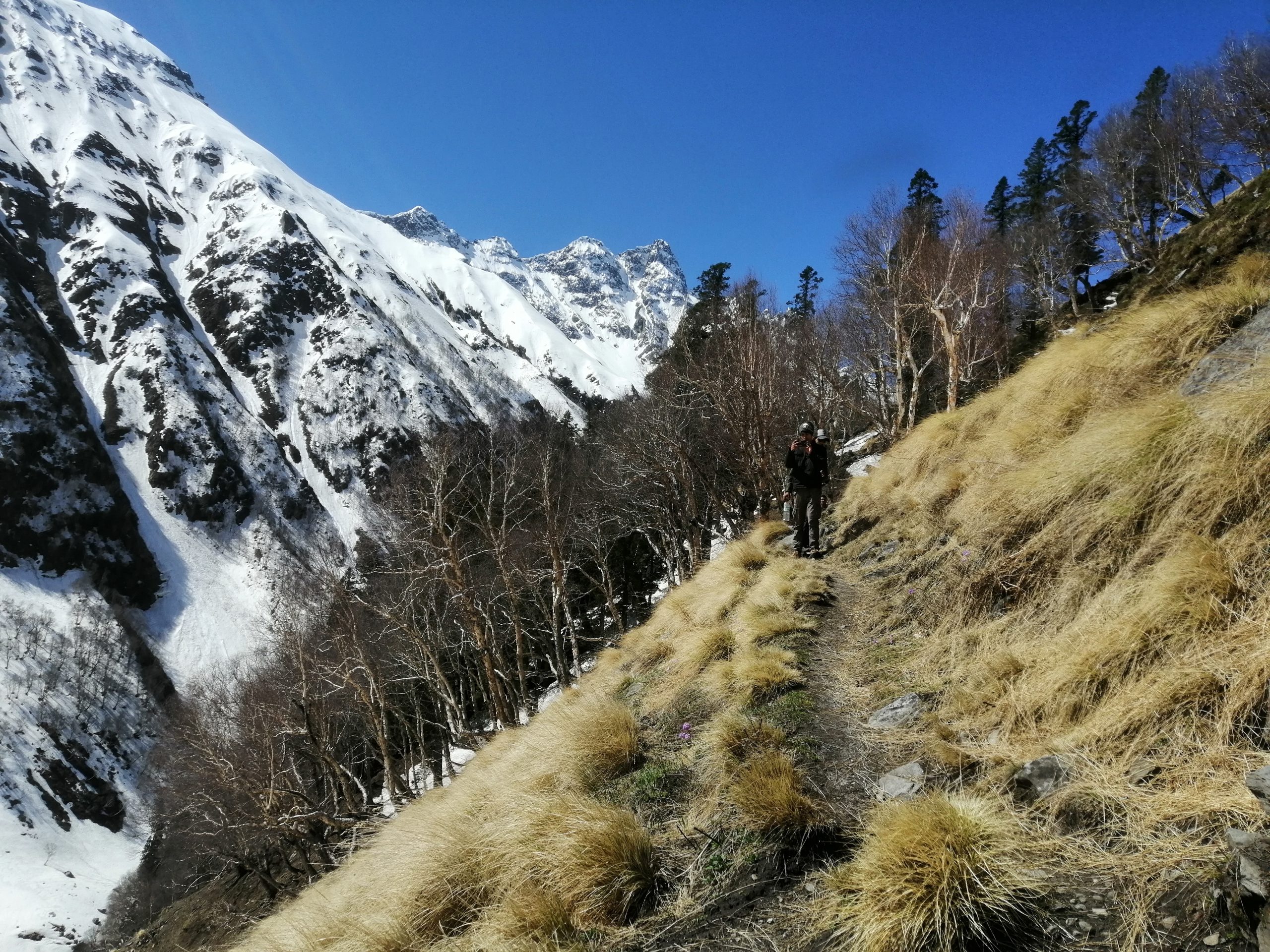 5-day Himalayan treks for working professionals